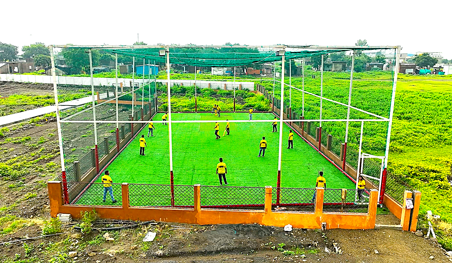 Cricket Turf